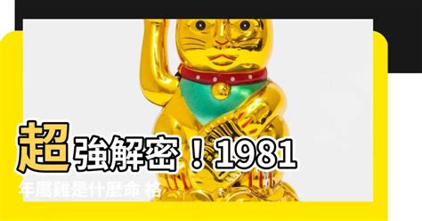 1981 屬|【81年屬】超強解密！1981年屬雞是什麼命 格局如何全解析